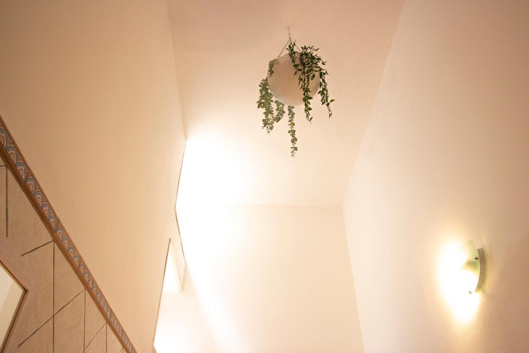 Willa Karyba House LMP Zewnętrze zdjęcie